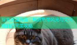 探索天涯海角：畅游热带风光与文化精髓的完美攻略
