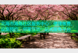 北海市海角社区服务中心：便捷缴费、设施预约、邻里互动一站式服务平台