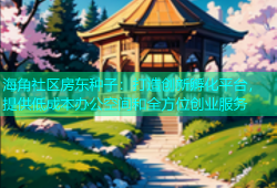 海角社区房东种子：打造创新孵化平台，提供低成本办公空间和全方位创业服务