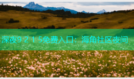 深夜9 2 1 5免费入口：海角社区夜间
