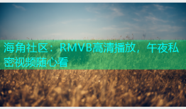 海角社区：RMVB高清播放，午夜私密视频随心看