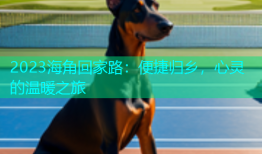 2023海角回家路：便捷归乡，心灵的温暖之旅