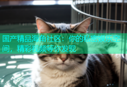 国产精品海角社区：你的私密娱乐空间，精彩视频等你发现