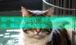 国产精品海角社区：你的私密娱乐空间，精彩视频等你发现