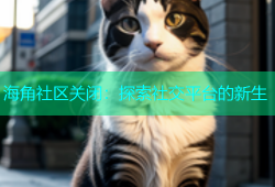 海角社区关闭：探索社交平台的新生