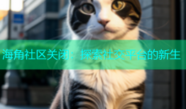 海角社区关闭：探索社交平台的新生