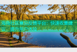 海角社区意见反馈平台：快速收集建议，提升用户体验