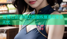 海角社区DR助力数据恢复高效安全无忧