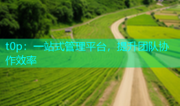 t0p：一站式管理平台，提升团队协作效率
