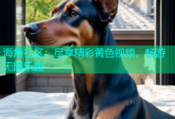 海角社区：尽享精彩黄色视频，畅游无限乐趣