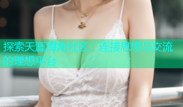 探索天涯海角社区：连接思想与交流的理想平台