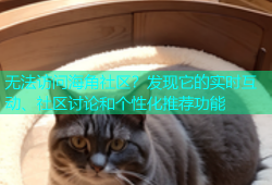 无法访问海角社区？发现它的实时互动、社区讨论和个性化推荐功能