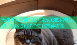 无法访问海角社区？发现它的实时互动、社区讨论和个性化推荐功能