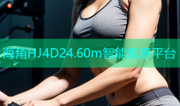 海角HJ4D24.60m智能观景平台