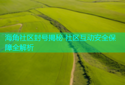 海角社区封号揭秘 社区互动安全保障全解析