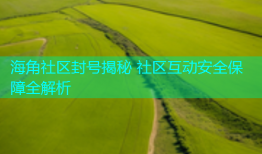 海角社区封号揭秘 社区互动安全保障全解析
