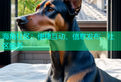 海角社区：便捷互动、信息发布、社区服务