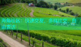海角社区：快速交友、多样社交、自由表达