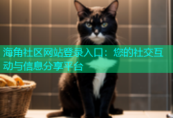 海角社区网站登录入口：您的社交互动与信息分享平台