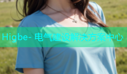 Higbe- 电气建设解决方案中心