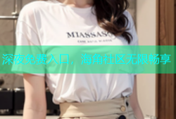深夜免费入口，海角社区无限畅享