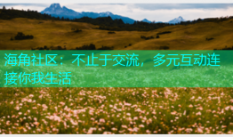 海角社区：不止于交流，多元互动连接你我生活