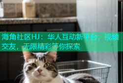 海角社区HJ：华人互动新平台，视频交友，无限精彩等你探索