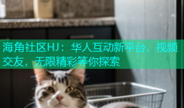 海角社区HJ：华人互动新平台，视频交友，无限精彩等你探索