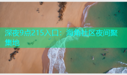 深夜9点215入口：海角社区夜间聚集地