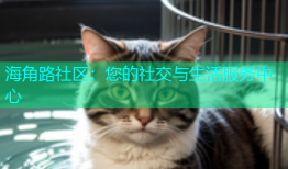 海角路社区：您的社交与生活服务中心