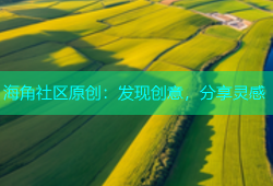 海角社区原创：发现创意，分享灵感