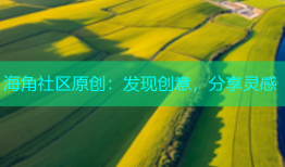 海角社区原创：发现创意，分享灵感