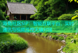 海角社区SIP：智能互联平台，实时通讯与视频监控无缝对接