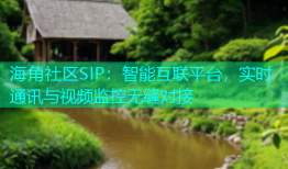 海角社区SIP：智能互联平台，实时通讯与视频监控无缝对接