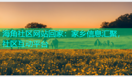 海角社区网站回家：家乡信息汇聚，社区互动平台