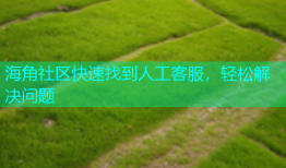 海角社区快速找到人工客服，轻松解决问题