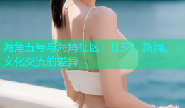海角五号与海角社区：社交、新闻、文化交流的差异