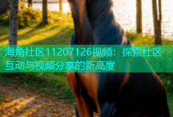 海角社区11207126视频：探索社区互动与视频分享的新高度