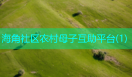 海角社区农村母子互助平台(1)