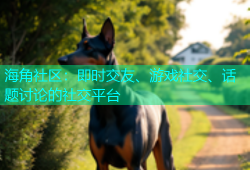 海角社区：即时交友、游戏社交、话题讨论的社交平台