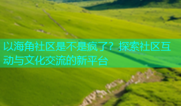 以海角社区是不是疯了？探索社区互动与文化交流的新平台