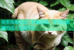 探索海角社区：分享生活、艺术与激情的成人交流平台