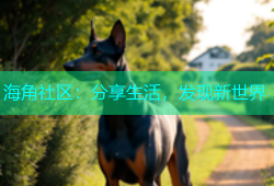 海角社区：分享生活，发现新世界