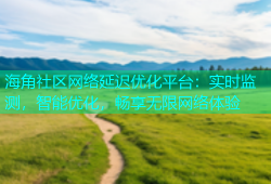 海角社区网络延迟优化平台：实时监测，智能优化，畅享无限网络体验
