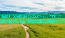 海角社区网络延迟优化平台：实时监测，智能优化，畅享无限网络体验