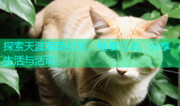 探索天涯海角社区：畅享互动、分享生活与活动