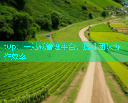 t0p：一站式管理平台，提升团队协作效率