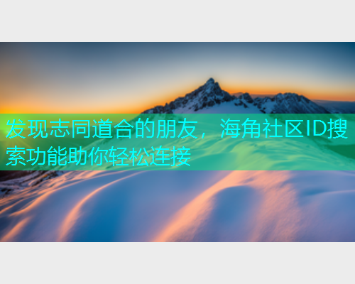 发现志同道合的朋友，海角社区ID搜索功能助你轻松连接