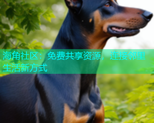 海角社区：免费共享资源，连接邻里生活新方式