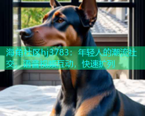 海角社区hj3783：年轻人的潮流社交，语音视频互动，快速扩列